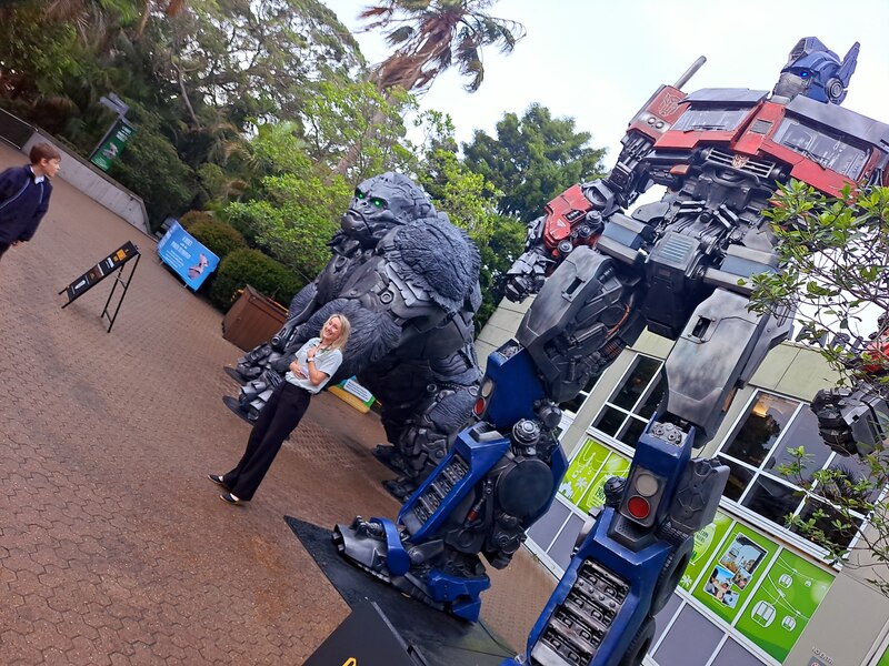 Transformers Rise Of The Beasts Optimus Prime & Optimus Primal Statues Invade Australia  (2 of 8)